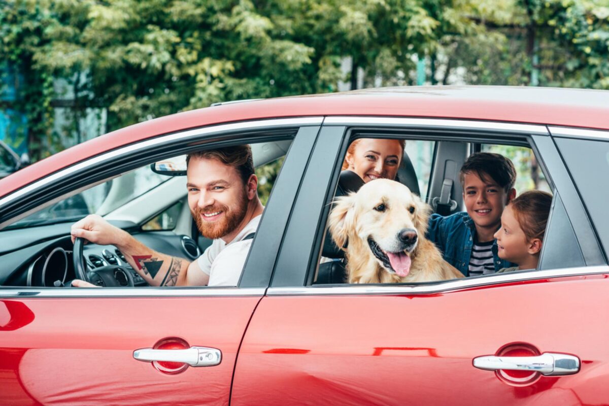 Voertuigenverplichtingen voor auto’s in Nederland