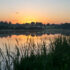 Landschap met water